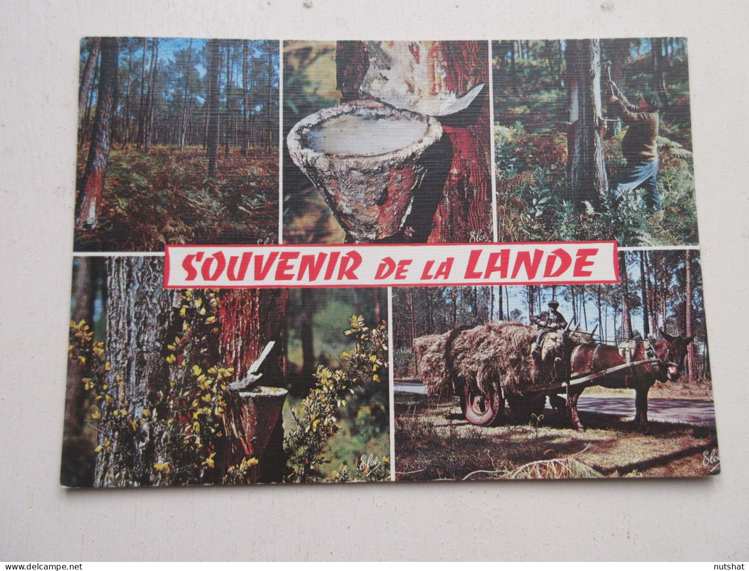 CP CARTE POSTALE LANDES FORET RESINIER Au TRAVAIL Le BROS LANDAIS - Ecrite       - Autres & Non Classés