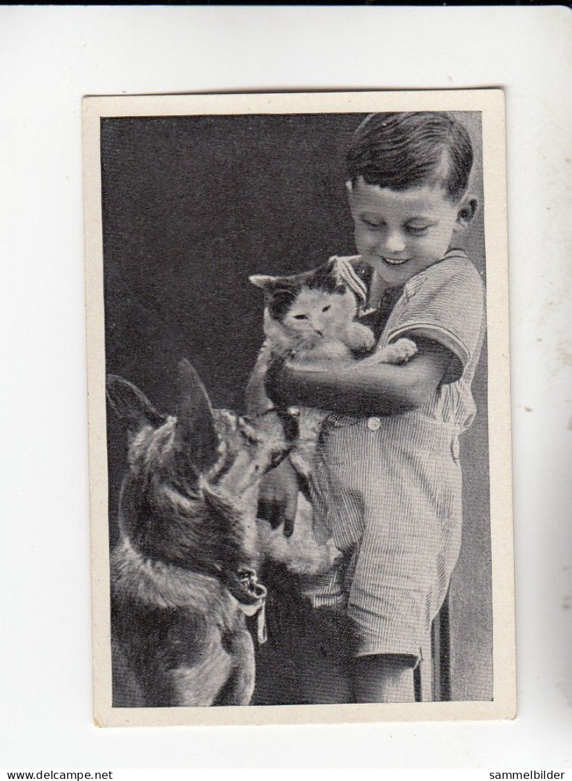 Mit Trumpf Durch Alle Welt Tiere Und Kinder II Knabe Hund Katze   C Serie 12 # 3 Von 1934 - Zigarettenmarken