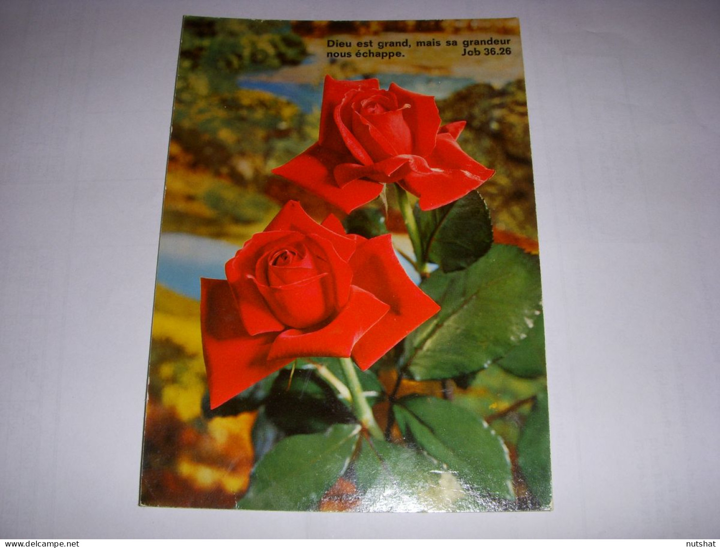 CP CARTE POSTALE RELIGIEUSE ROSES ROUGES Dieu Est Grand (Job) - ECRITE - Autres & Non Classés