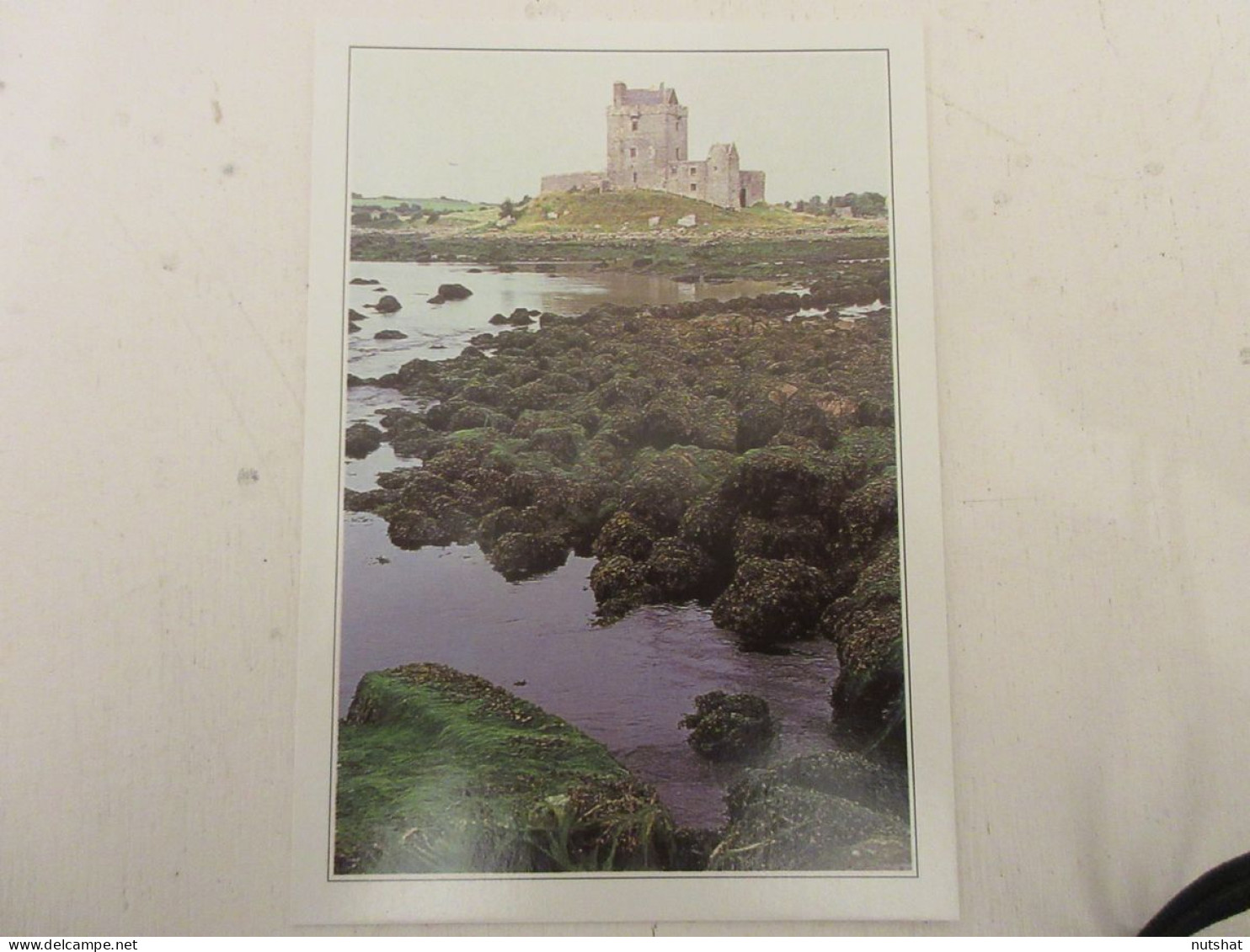 CP CARTE 02-A01 IRLANDE Le CHATEAU De DUNGAIRE ROUTE De GALWAY A LIMERICK - Galway