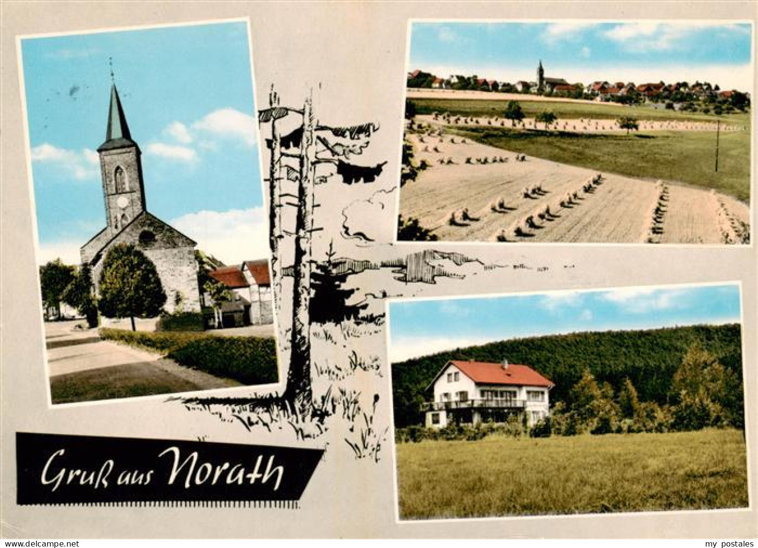 73886440 Norath Panorama Luftkurort Blick Ueber Die Felder Pension Haus Marienau - Sonstige & Ohne Zuordnung