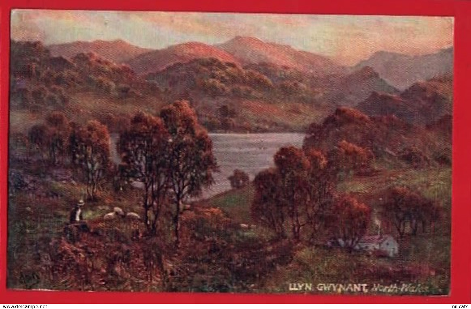 NORTH WALES    LLYN GWYNANT RAPHAEL TUCK PICTURESQUE N WALES SERIES  Pu  1910 - Tuck, Raphael