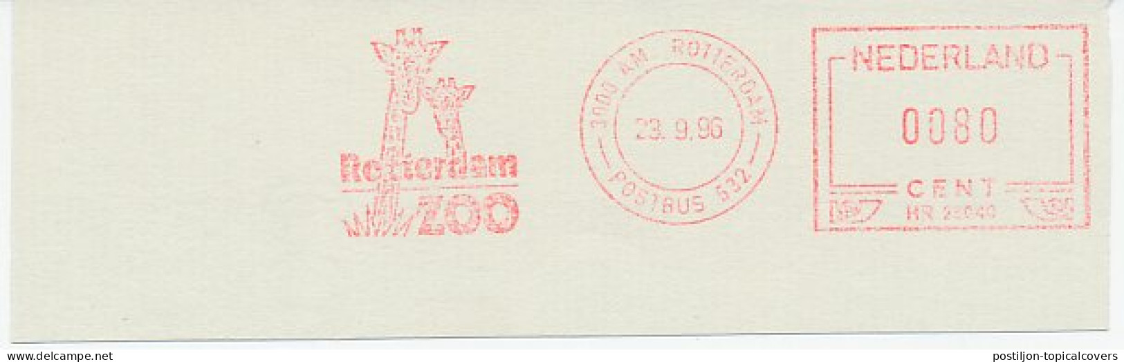 Meter Cut Netherlands 1996 Giraffe - Zoo Rotterdam - Autres & Non Classés