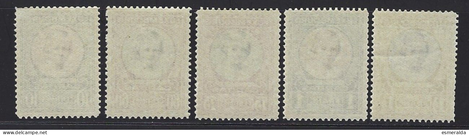 Luxembourg Yv 209/13 (213 Pli), Caritas 1928. 5 Valeurs Tous ** /mnh - Nuevos