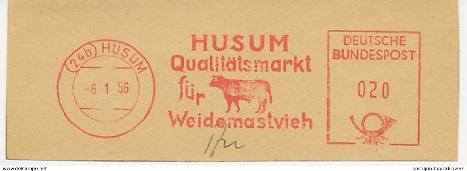 Meter Cut Germany 1956 Cow - Cattle - Fattoria