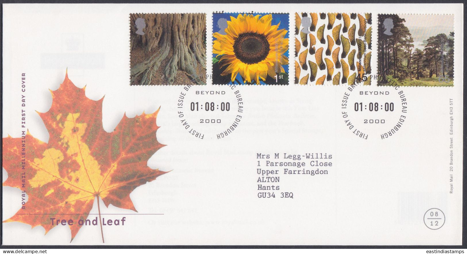 GB Great Britain 2000 FDC Tree And Leaf, Sunflower, Flower, Flowers, Tree, Trees, Pictorial Postmark, First Day Cover - Lettres & Documents