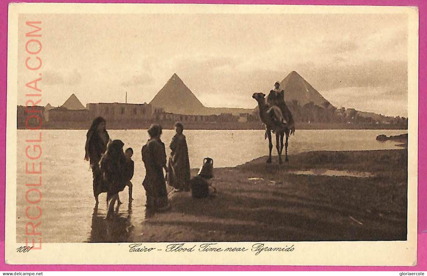 Ag2983 - EGYPT - VINTAGE POSTCARD - Cairo, Flood Time Near Pyramids - Kairo