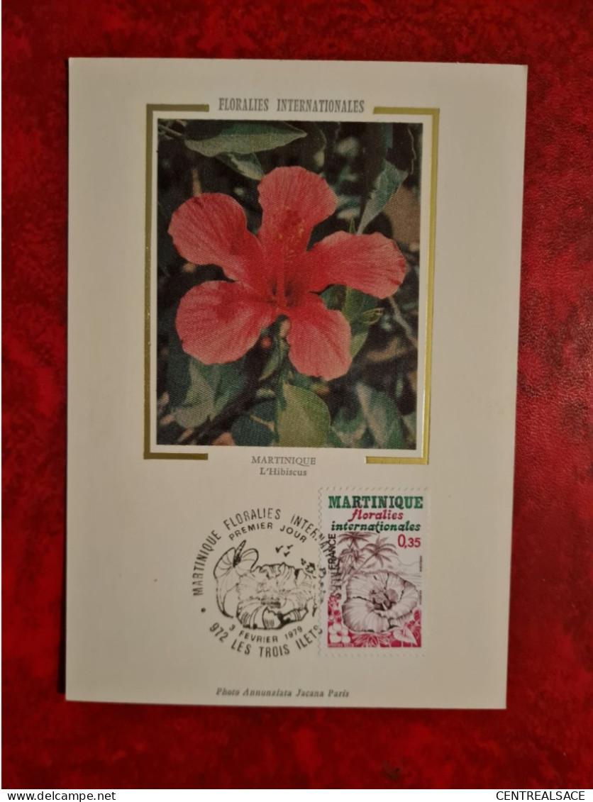 CARTE Maximum 1979 MARTINIQUE HIBISCUS LES TROIS ILETS  FLORALIES - 1970-1979