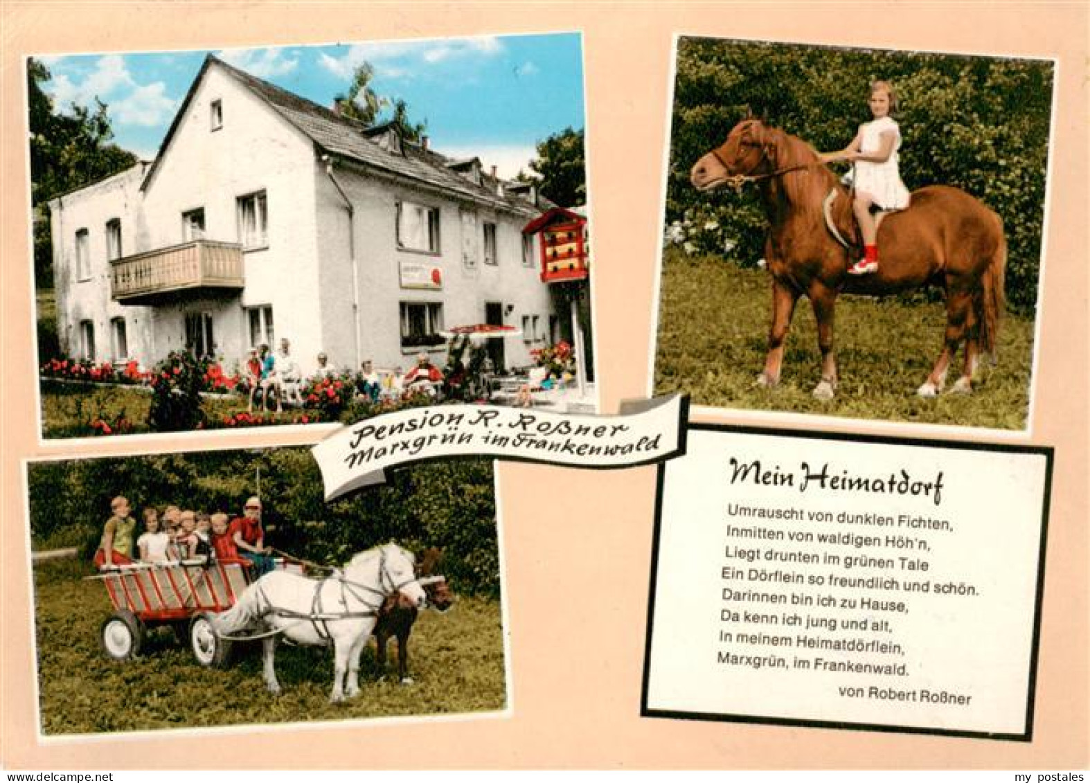 73886005 Marxgruen Naila Pension Rossner Ponykutsche Kinderreiten  - Naila