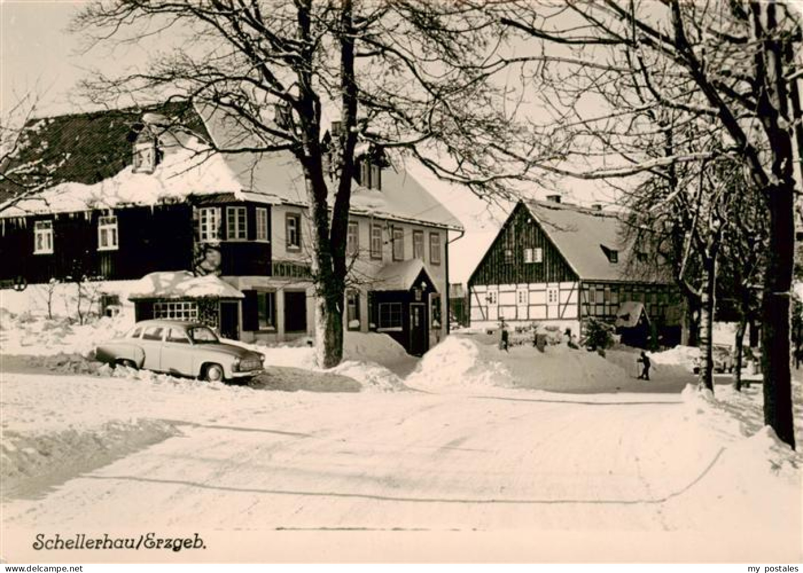 73885981 Schellerhau Strassenpartie Schellerhau - Altenberg