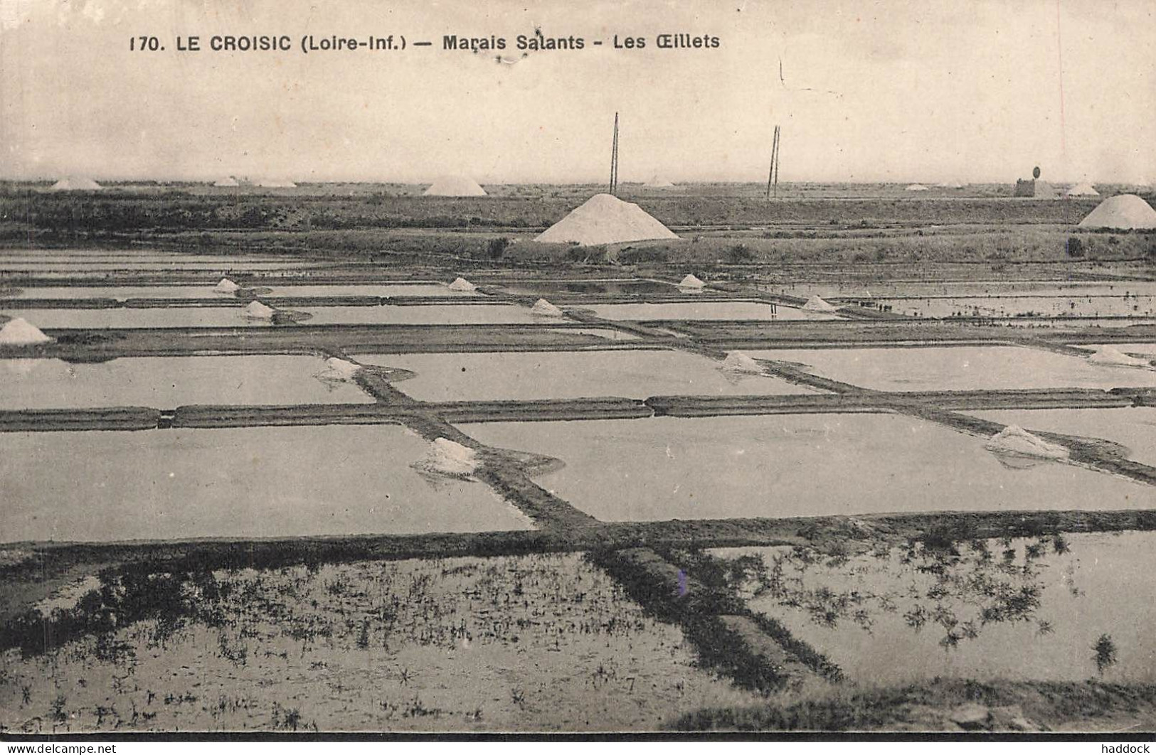 LE CROISIC : MARAIS SALANTS - LES OEILLETS - Le Croisic