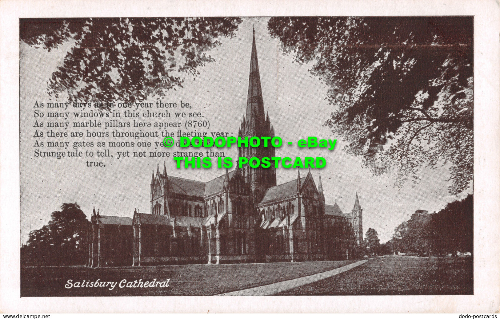 R506204 Salisbury Cathedral. R. Wilkinson. Postcard - World