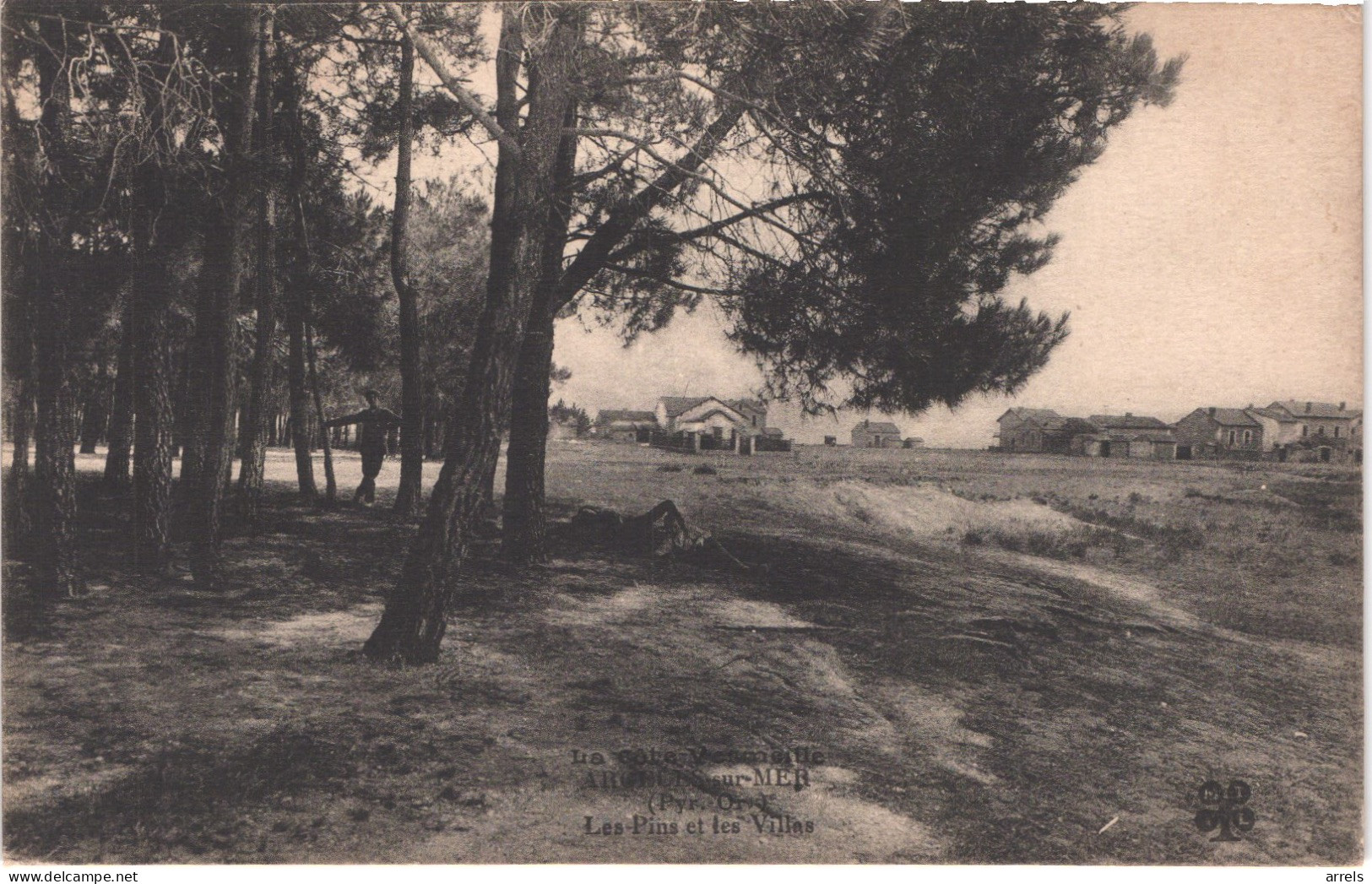 FR66 ARGELES SUR MER - Mtil 5 - Les Pins Et Les Villas - Animée - Belle - Argeles Sur Mer