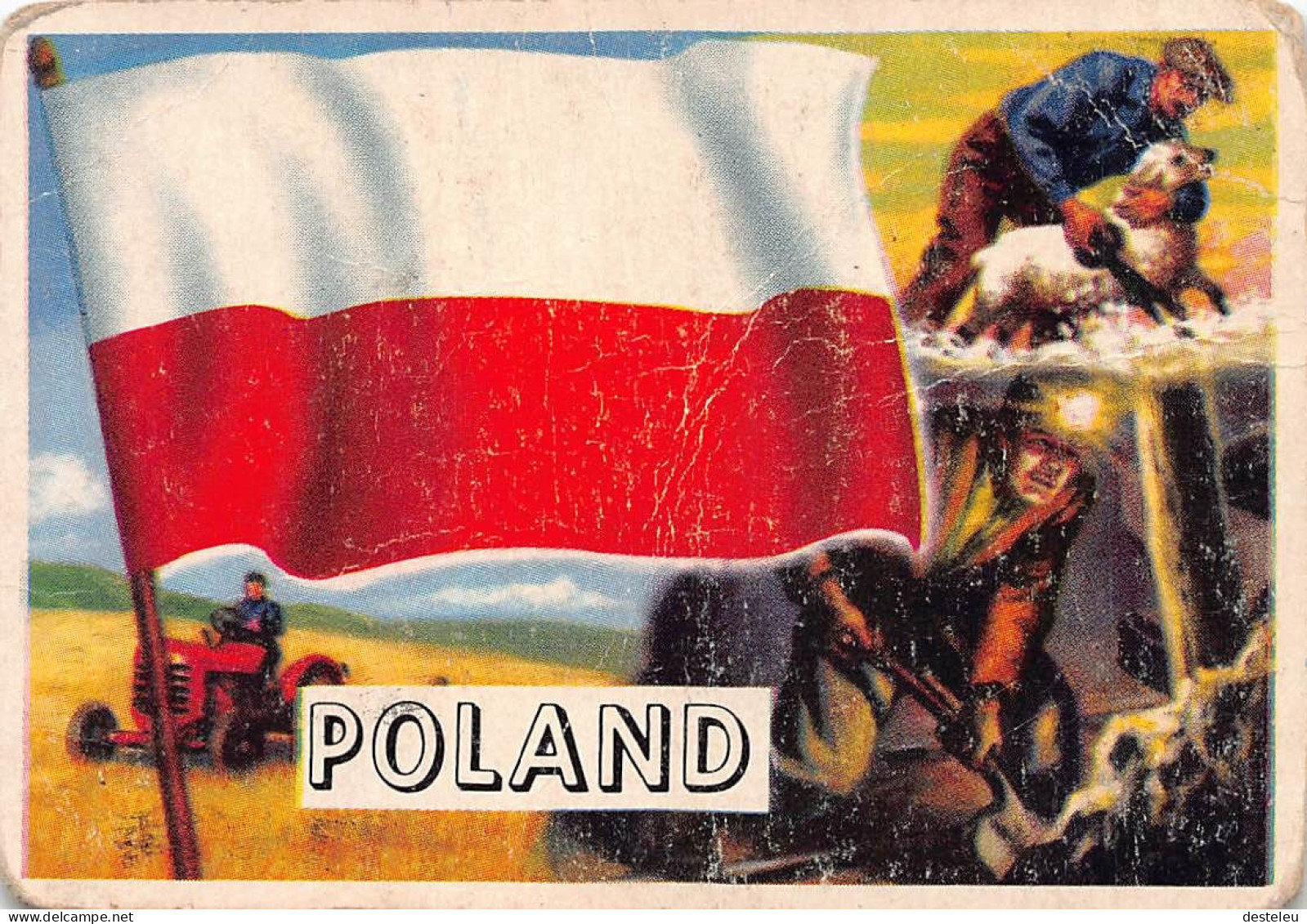 Flags Of The World Chromo - Poland - 6.5 X 9.5 Cm - Autres & Non Classés