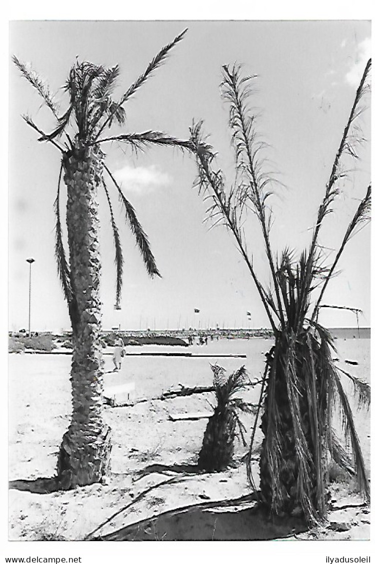 Canet Plage Lot De 2 Photos De Presse Format : 24 X 16 Cm - Canet Plage