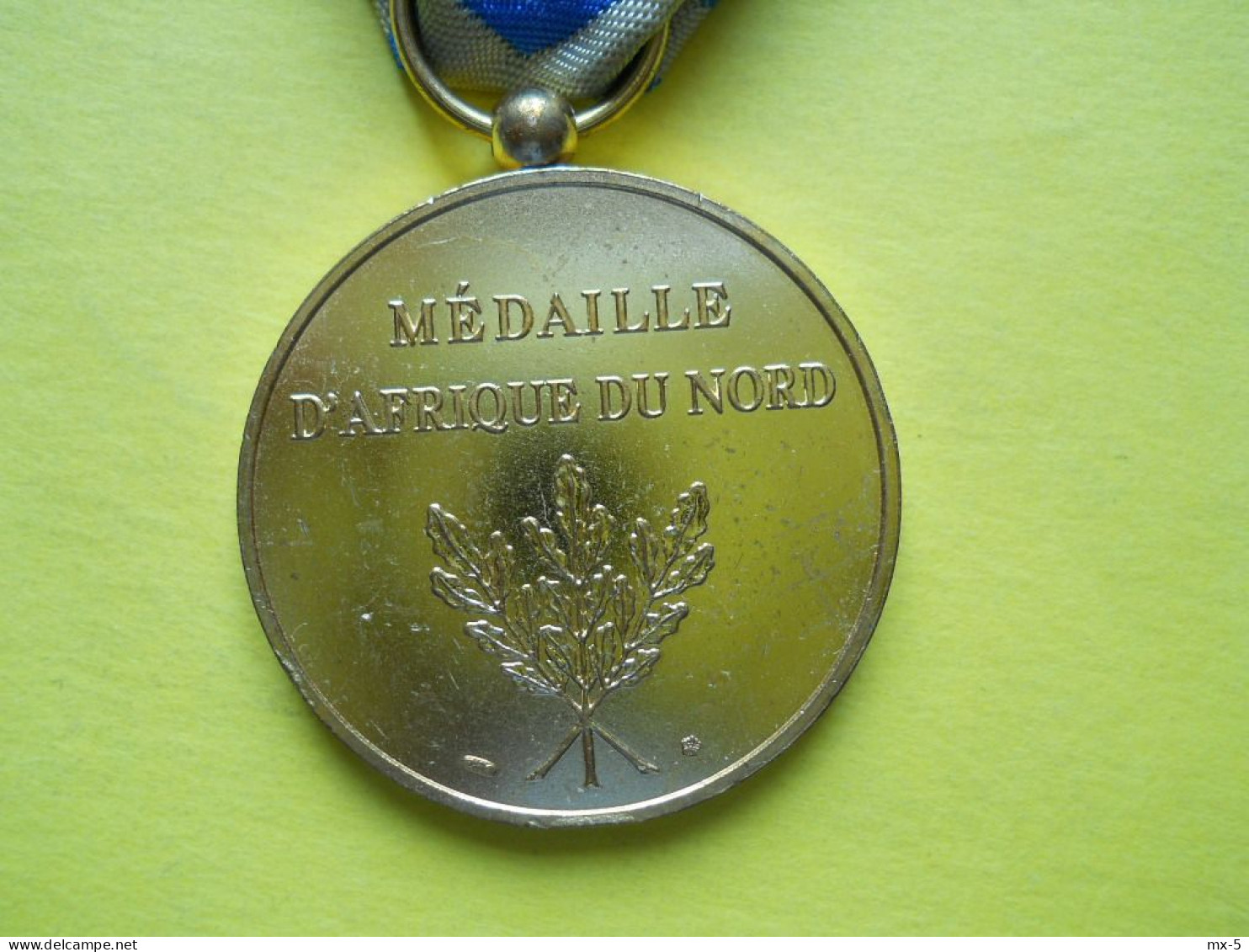 Médaille D'Afrique Du Nord - Sonstige & Ohne Zuordnung