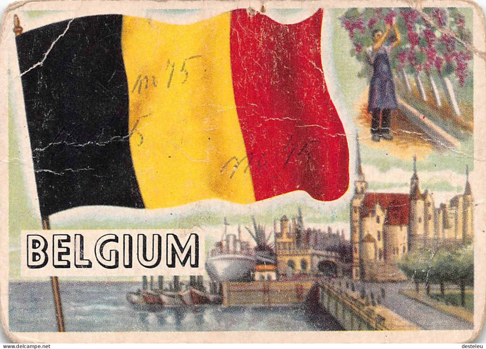 Flags Of The World Chromo - Belgium - 6.5 X 9.5 Cm - Otros & Sin Clasificación