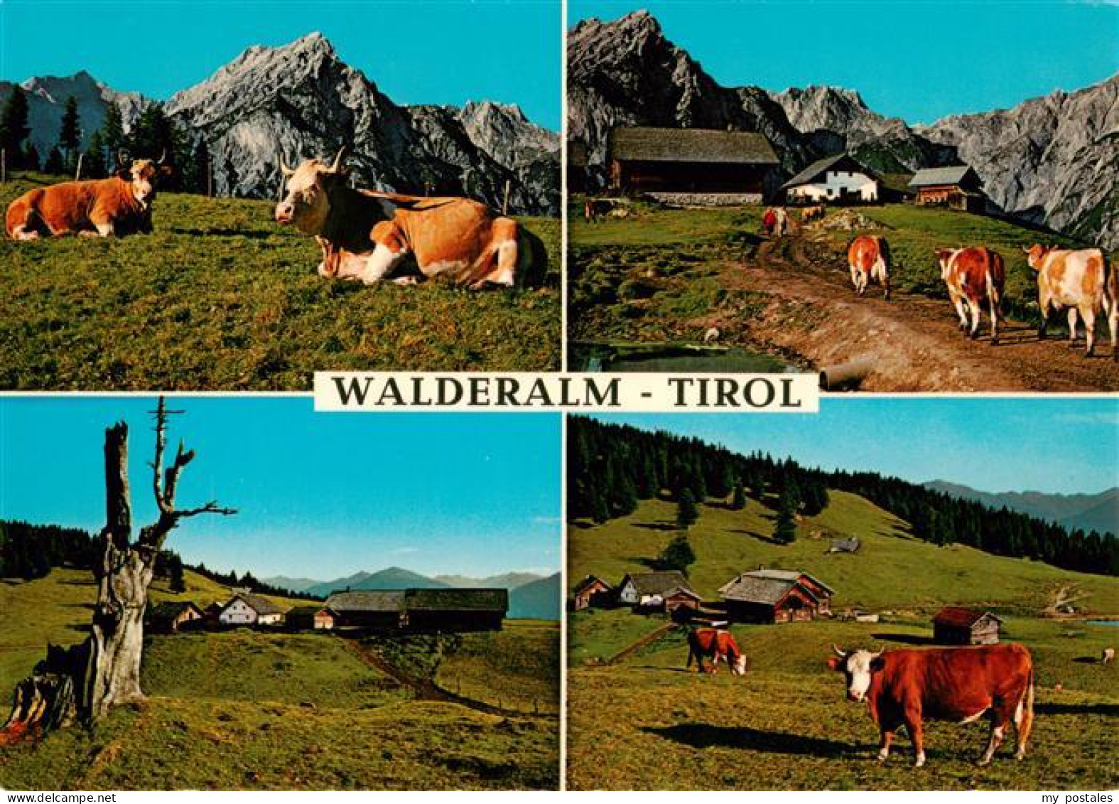 73885553 Walderalm Gnadenwald Tirol AT Gasthaus Hinterhorn Alm Teilansichten  - Autres & Non Classés