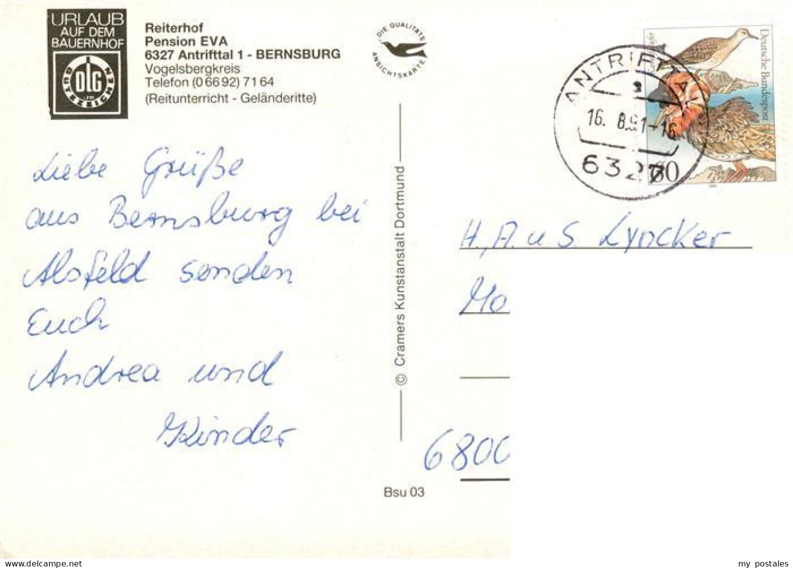 73885532 Bernsburg Antrifttal Pension Eva Reiterhof Gastraum Pferdekoppel Pferde - Sonstige & Ohne Zuordnung