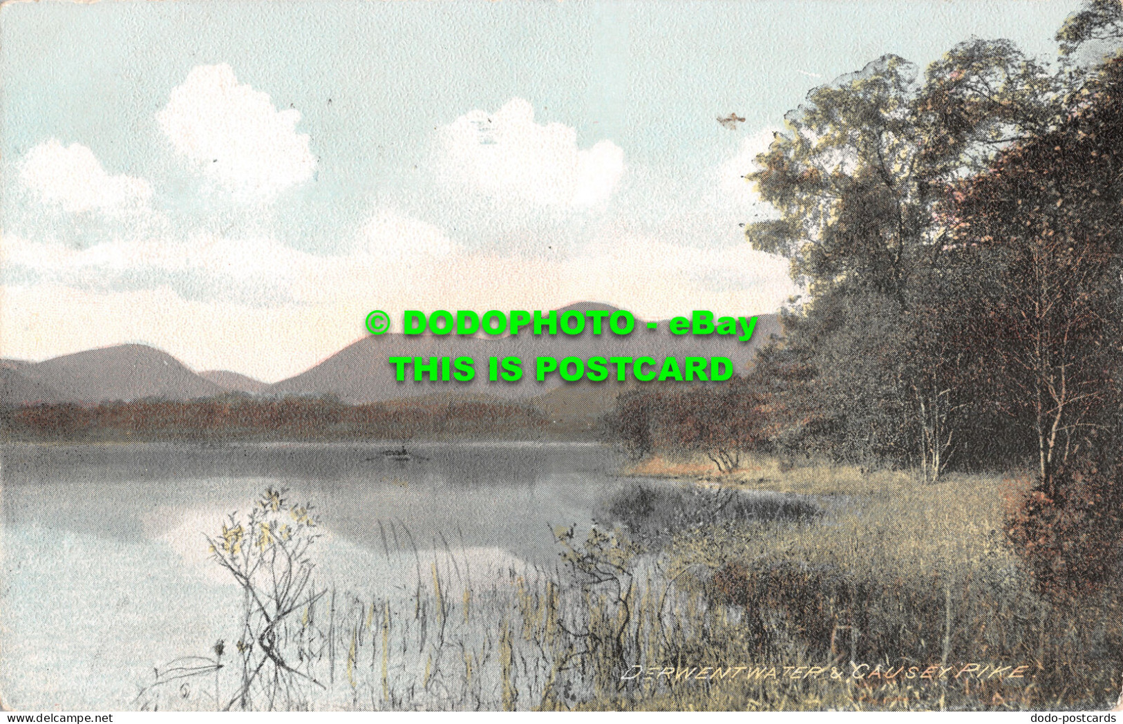 R506613 Derwentwater And Causey Pike. The Art Publishing. 1907 - Welt