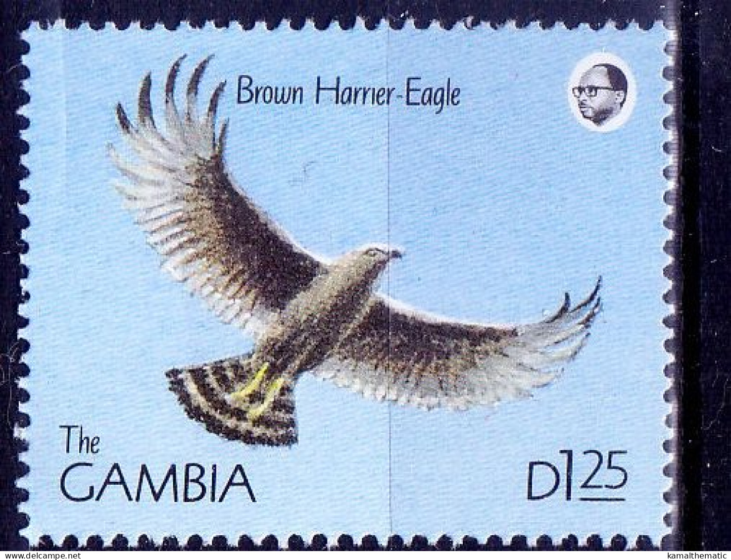 Gambia 1990 MNH, Brown Harrier Eagle, Birds Of Prey - Adler & Greifvögel