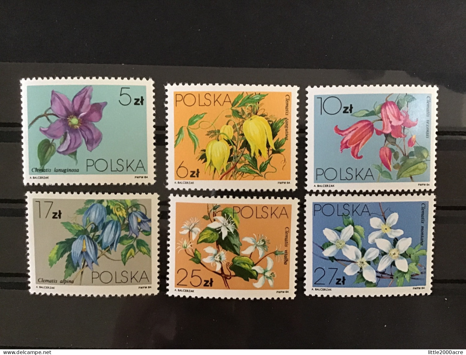 Poland 1984 Clematis MNH SG 2921-6 Mi 2906-11 Yv 2718-23 - Nuovi