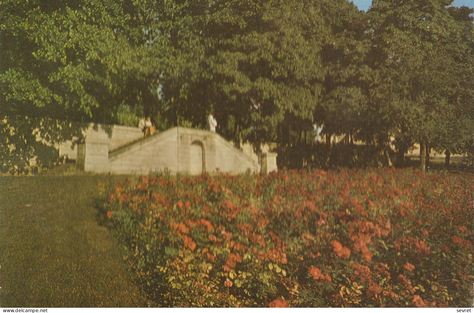 SUCY EN BRIE. - Le Parc De La Mairie - Sucy En Brie