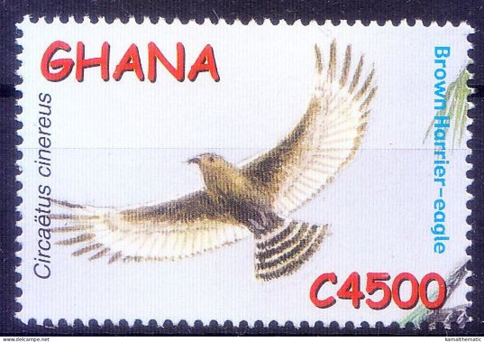 Brown Harrier Eagle, Birds Of Prey, Ghana 2002 MNH - Aquile & Rapaci Diurni