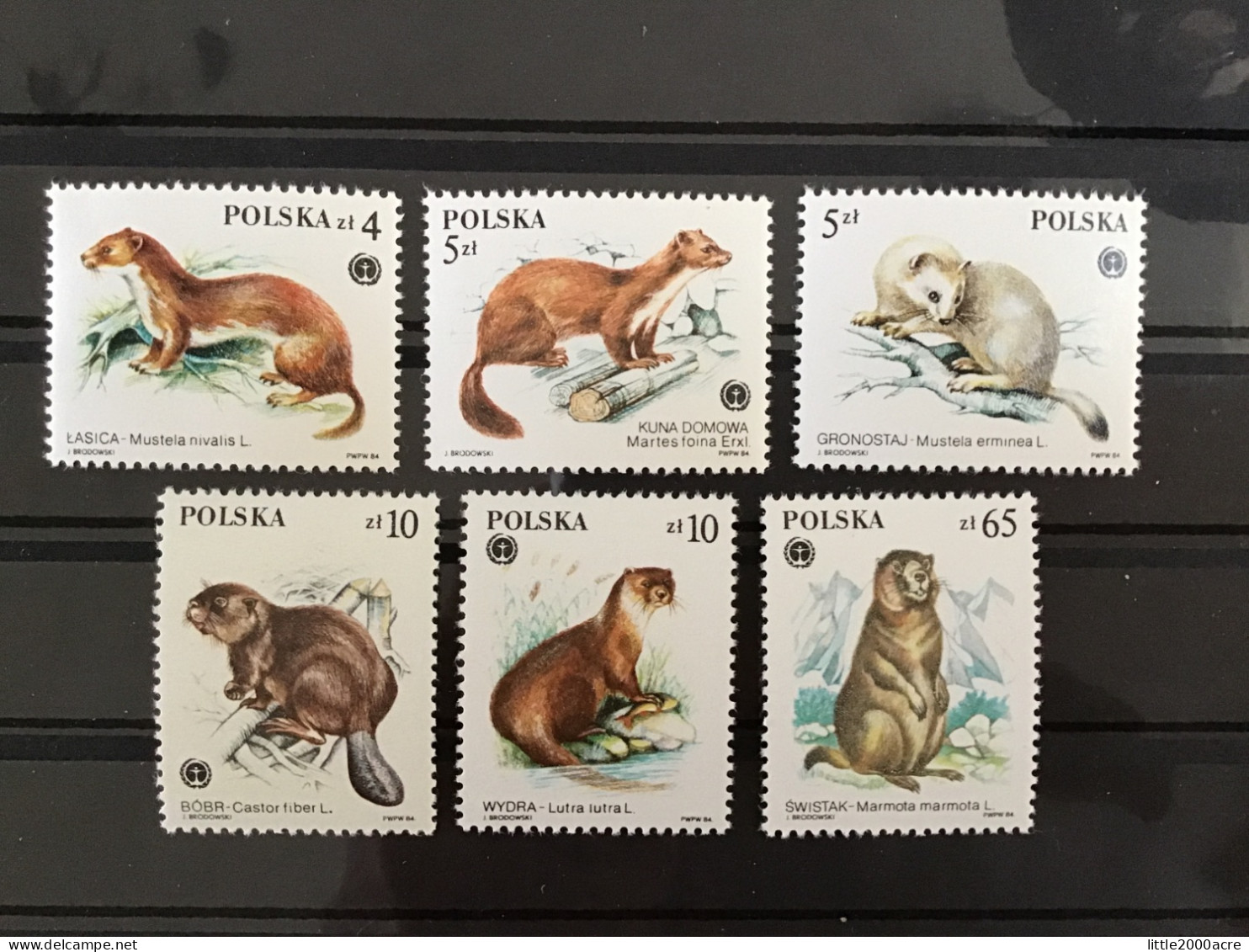 Poland 1984 Fur Bearing Animals MNH SG 2962-7 Mi 2946-51 Yv 2758-63 - Unused Stamps