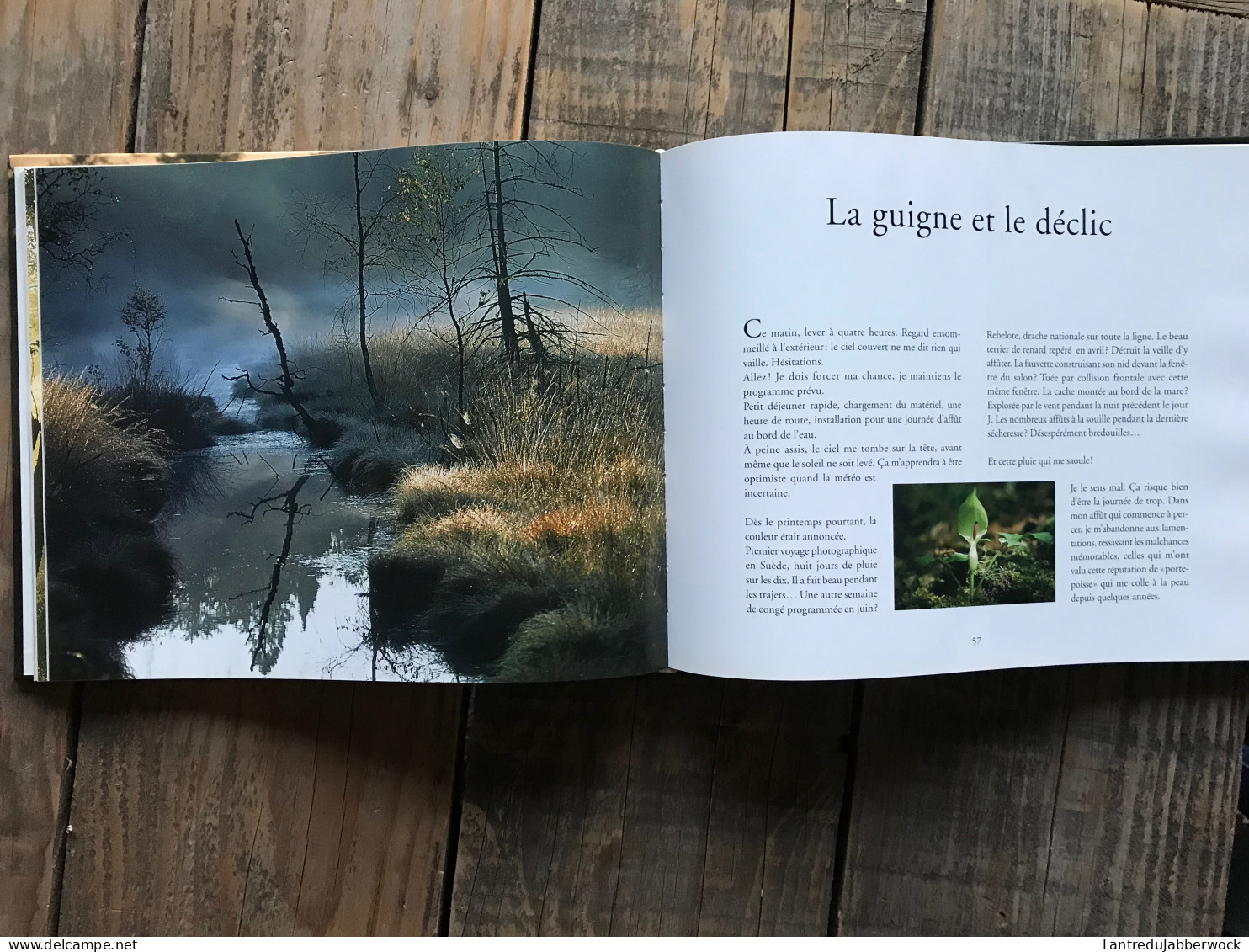 Philippe MOES Ardenne De Sève Et De Sang Régionalisme Forêt Nature Cerf Brâme Sanglier Gibier Photo Photographies - Belgique