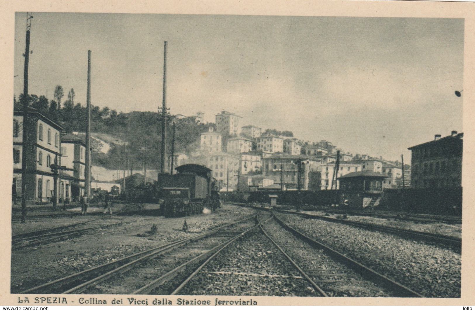 Liguria   -  La Spezia  -  Collina Di Vicci Dalla Stazione  - F. Piccolo  -  Nuova   -  Bella Animata Con Treno - La Spezia