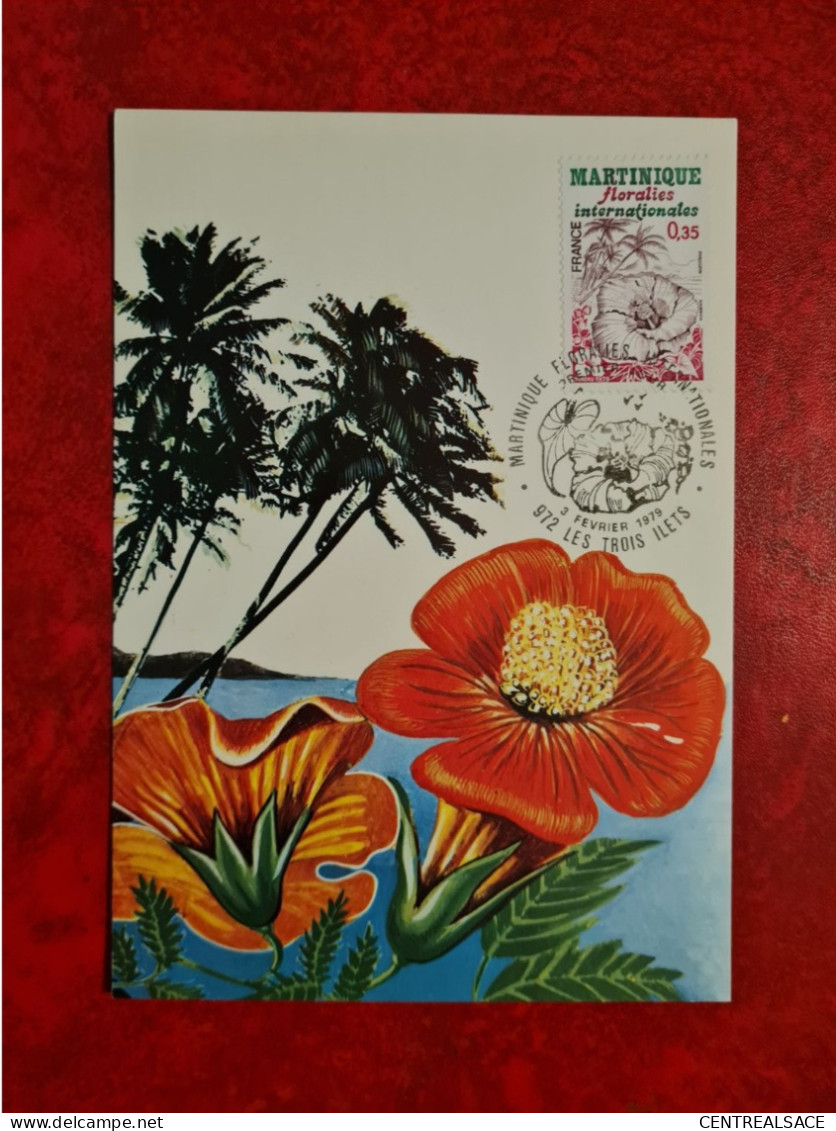 CARTE Maximum 1979 MARTINIQUE HIBISCUS LES TROIS ILETS  FLORALIES - 1970-1979