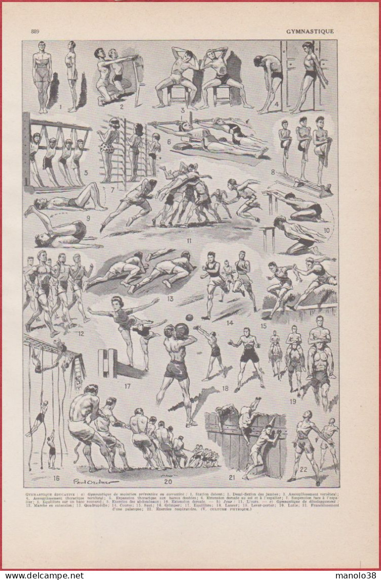 Gymnastique éducative. Sport. Illustration Paul Ordner. Larousse 1948. - Documents Historiques