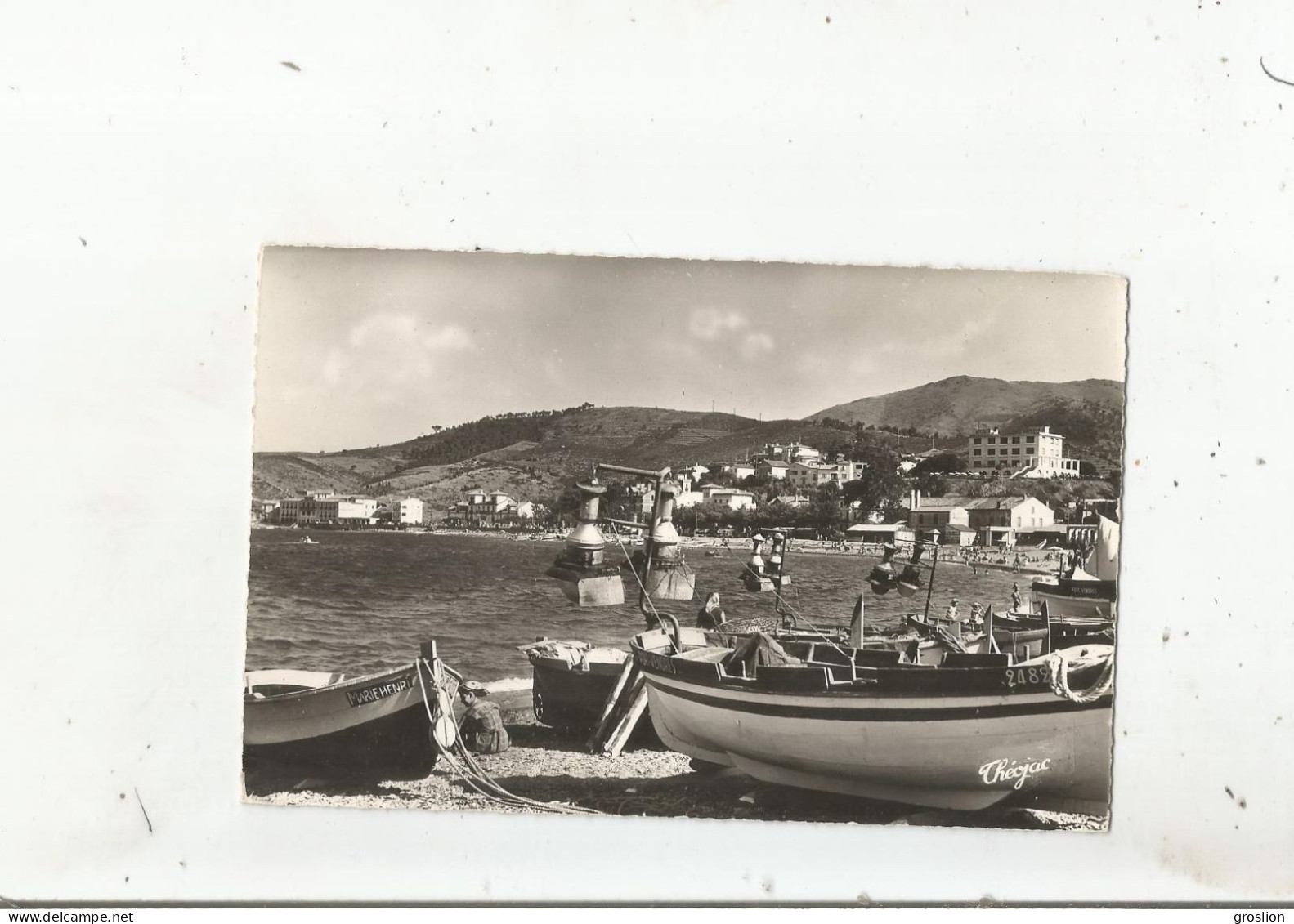 BANYULS SUR MER 16.7 PYRENEES ORIENTALES CARTE PHOTO BATEAUX DE PECHE  DANS LA BAIE - Banyuls Sur Mer