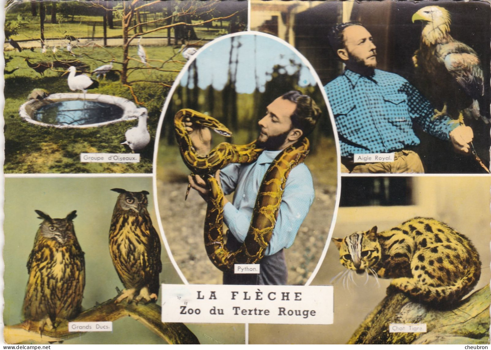 72. LA FLECHE. CPA. MULTIVUES. PARC ZOOLOGIQUE DU TERTRE ROUGE JACQUES BOUILLAULT AVEC UN PYTHON. ANNEE 1965 + TEXTE - La Fleche