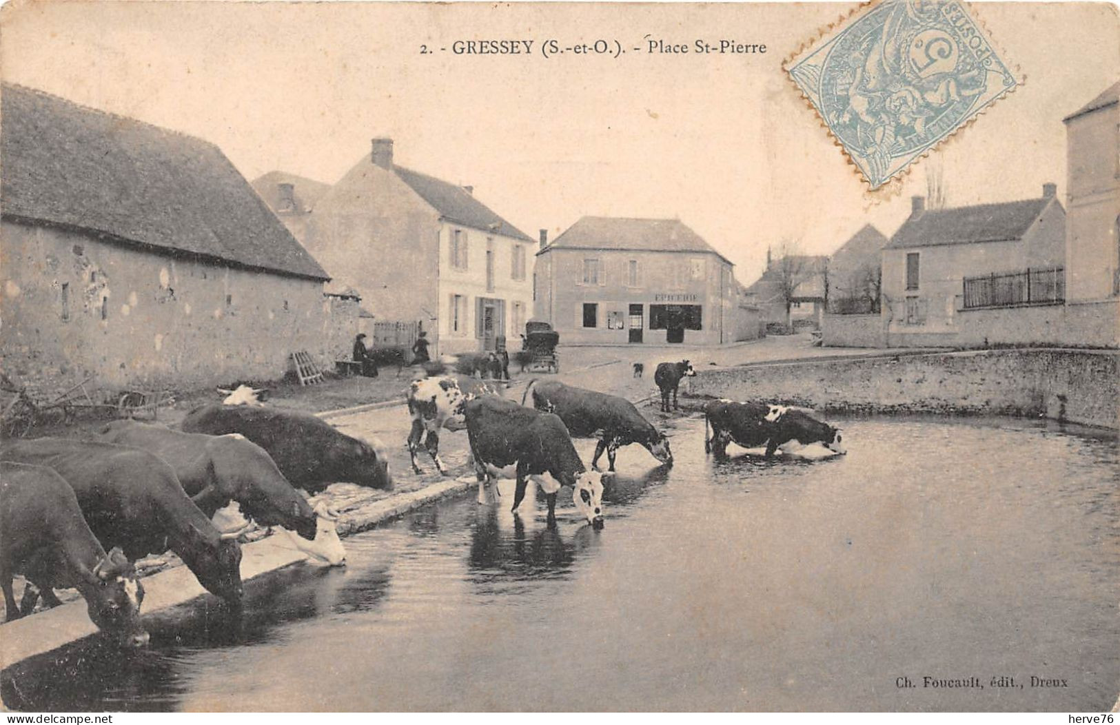 GRESSEY - Place St Pierre - Vaches - 1905 - Other & Unclassified