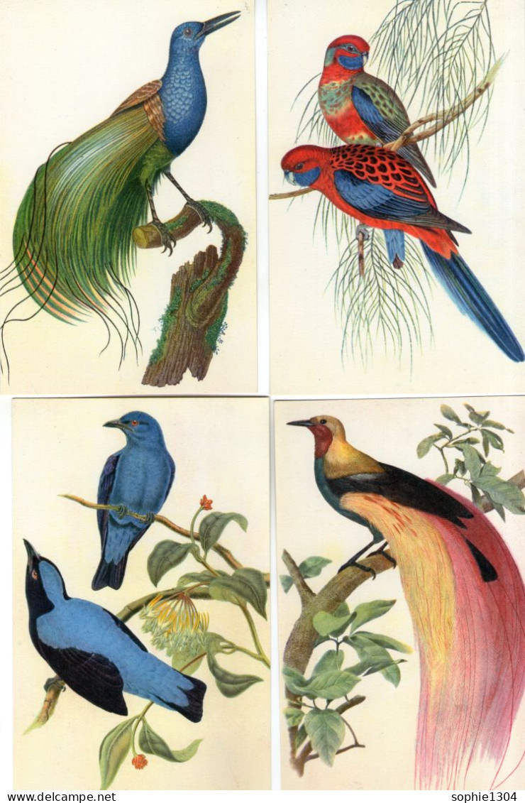 4 CARTES - OISEAUX - Vogels