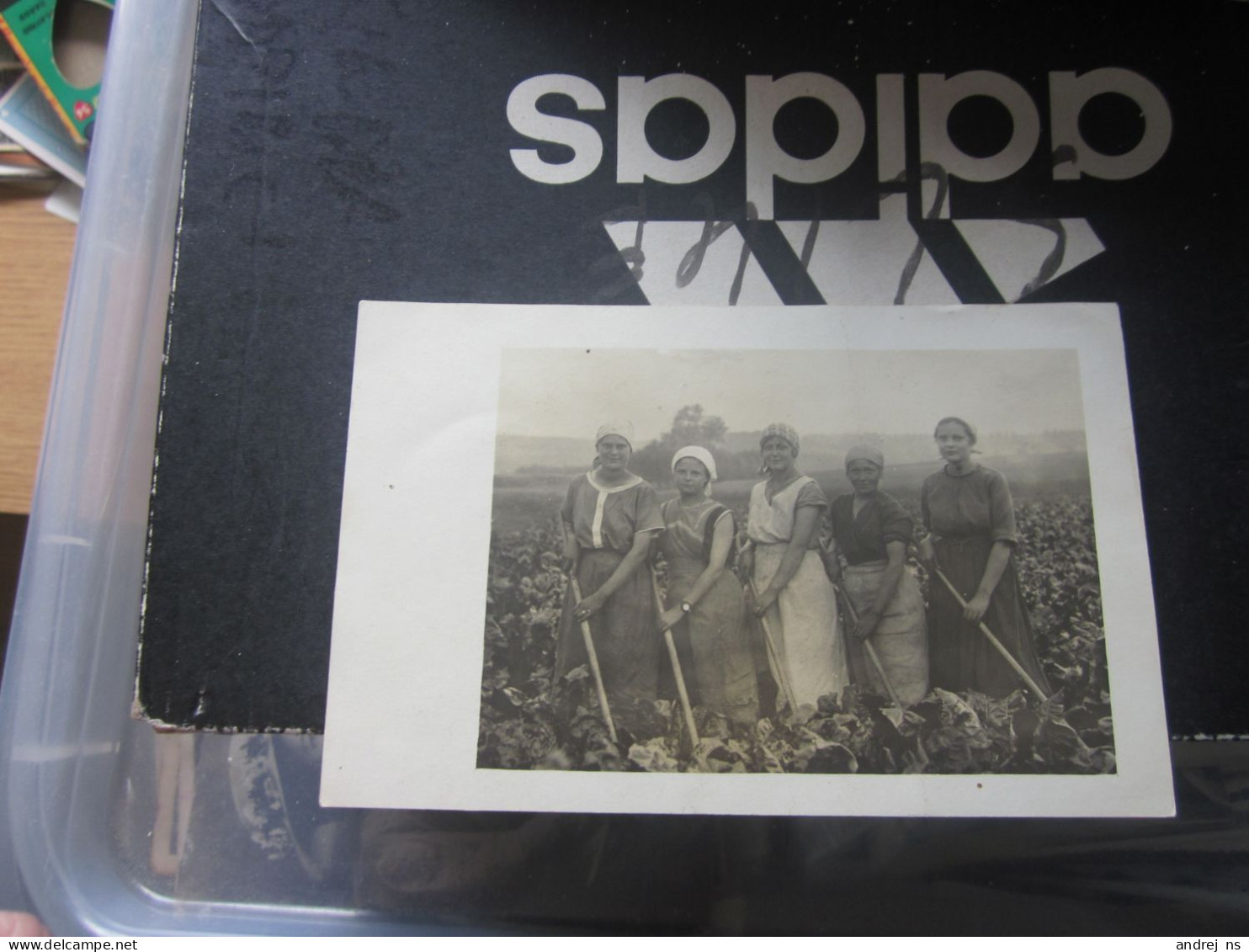 Women Are Digging Cabbage In The Field Old Photo Postcards - Serbie