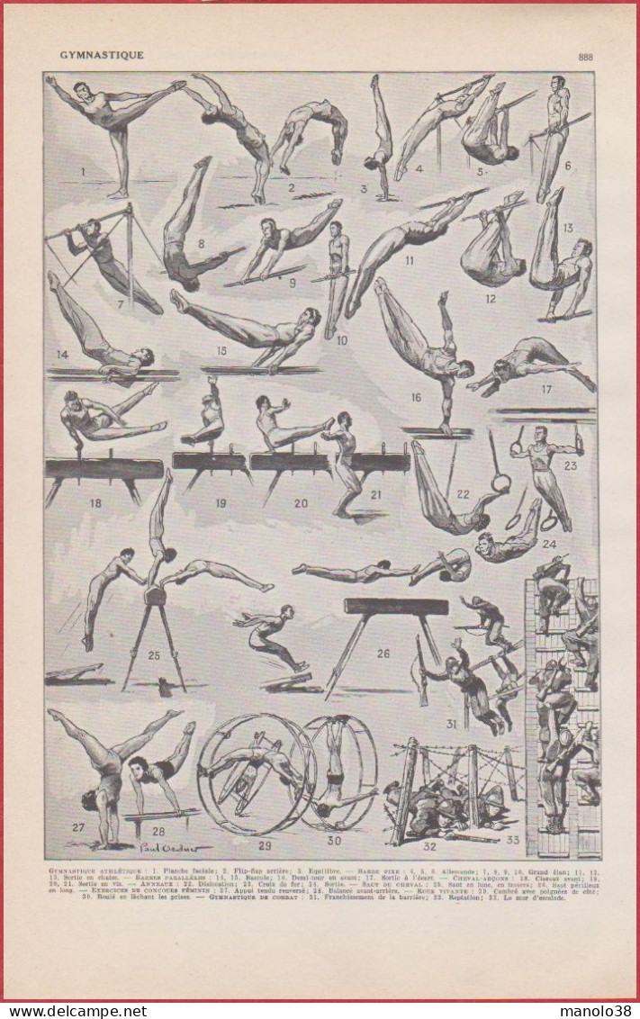 Gymnastique Athlétique. Sport. Illustration Paul Ordner. Larousse 1948. - Historical Documents