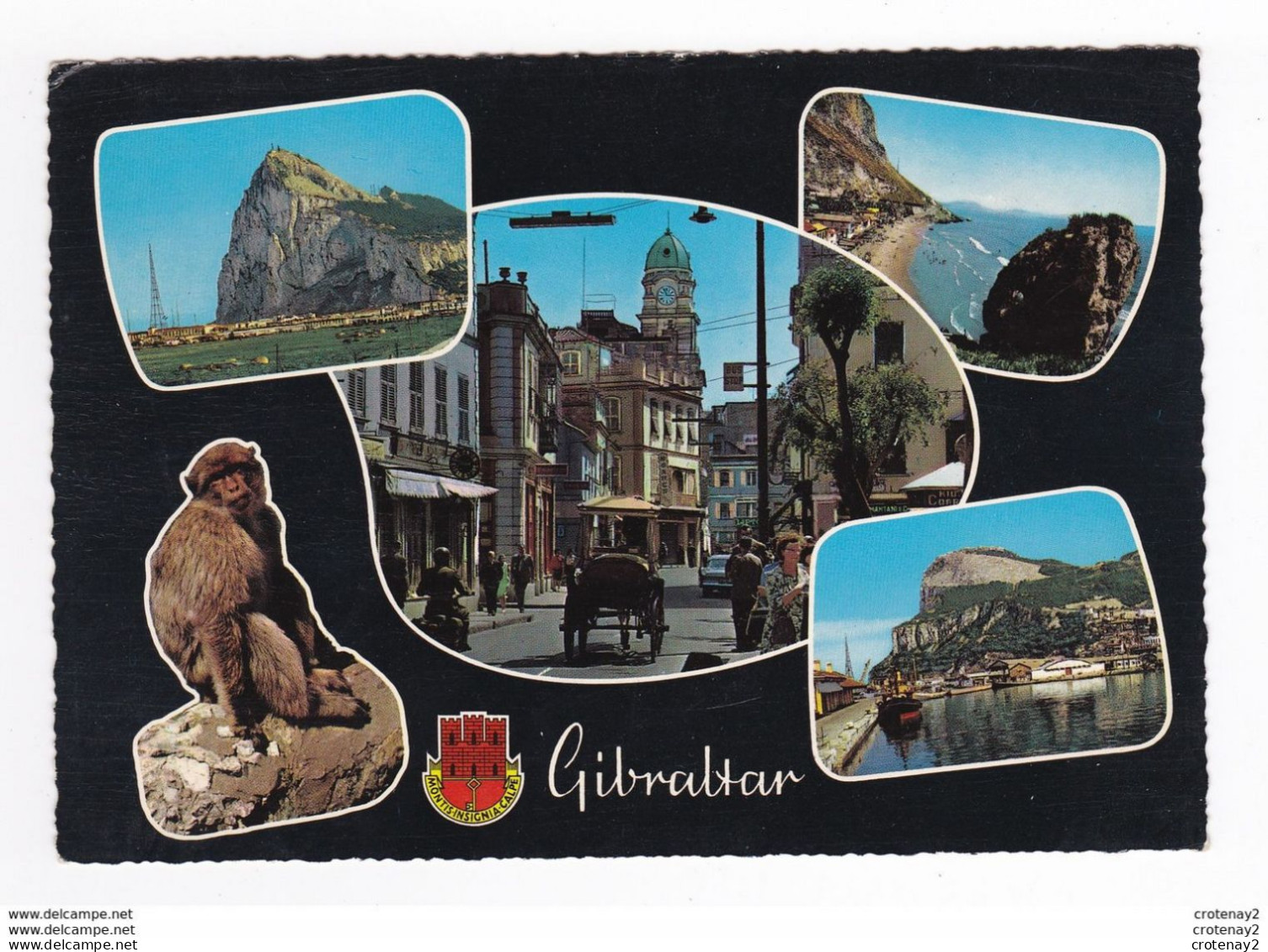 GIBRALTAR Multivues Et Blason Montis Insigna Calpe Attelage Voiture Singe VOIR DOS - Gibraltar