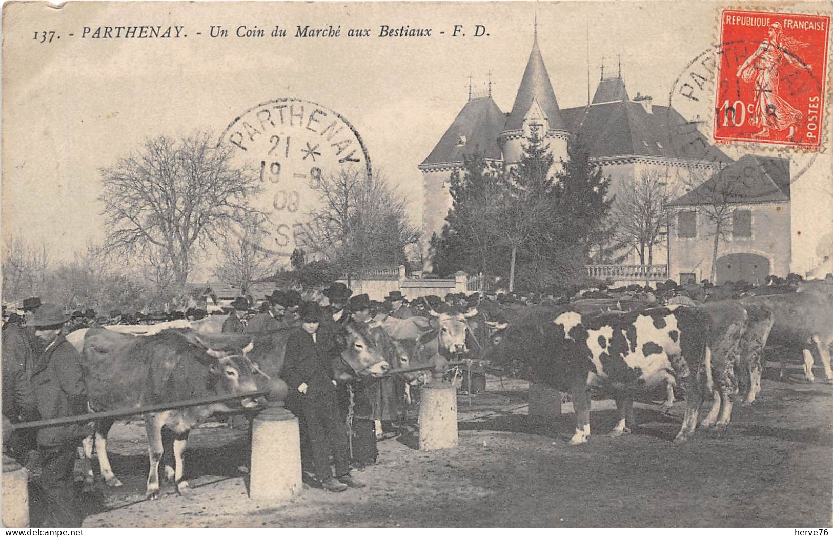 PARTENAY - Un Coin Du Marché Aux Bestiaux - Vaches - Parthenay