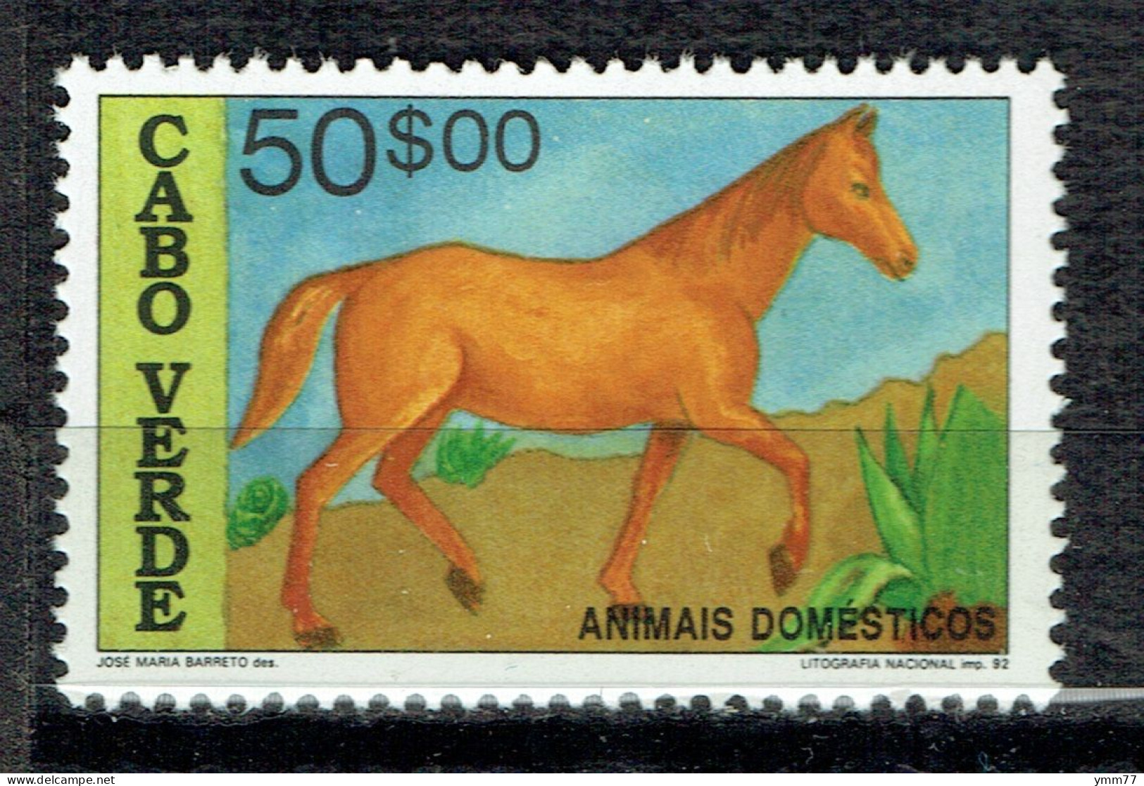 Animaux Domestiques : Cheval - Isola Di Capo Verde