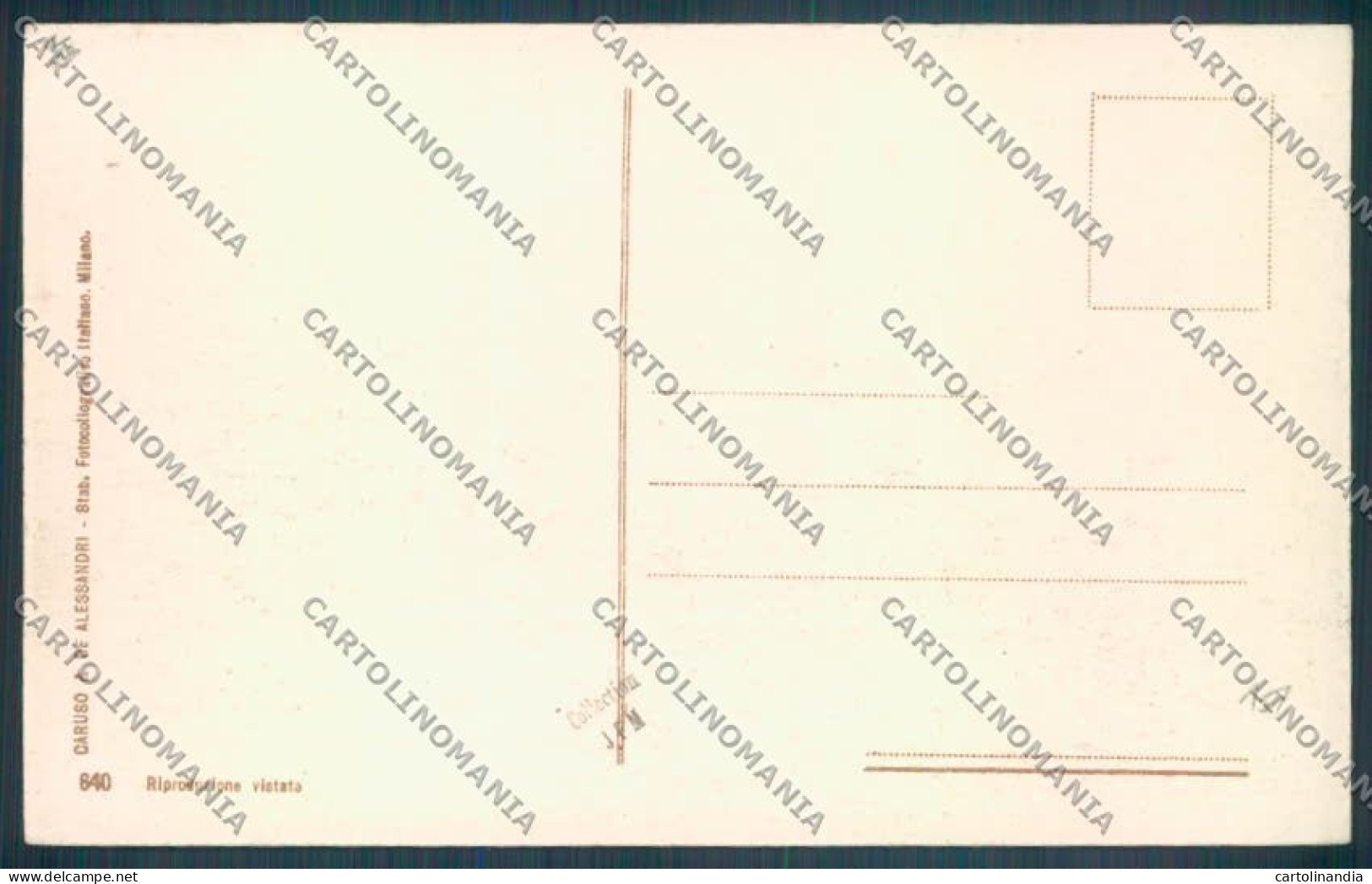 Messina Terremoto Città Municipio Cartolina ZB9848 - Messina