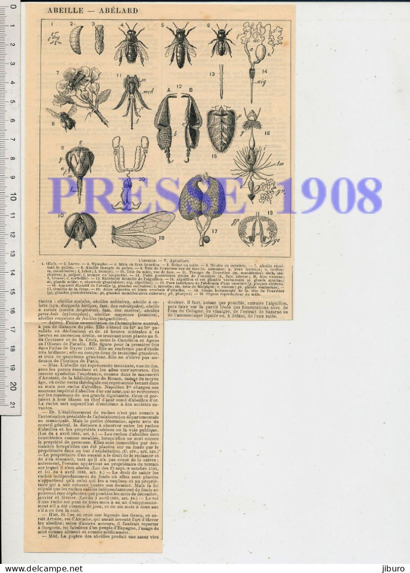 Doc Début 20° Siècle Ruches Rucher Apiculture Apiculteur Enfumoir Récolte Miel Abeilles Insecte Abeille Extracteur Ruche - Autres & Non Classés