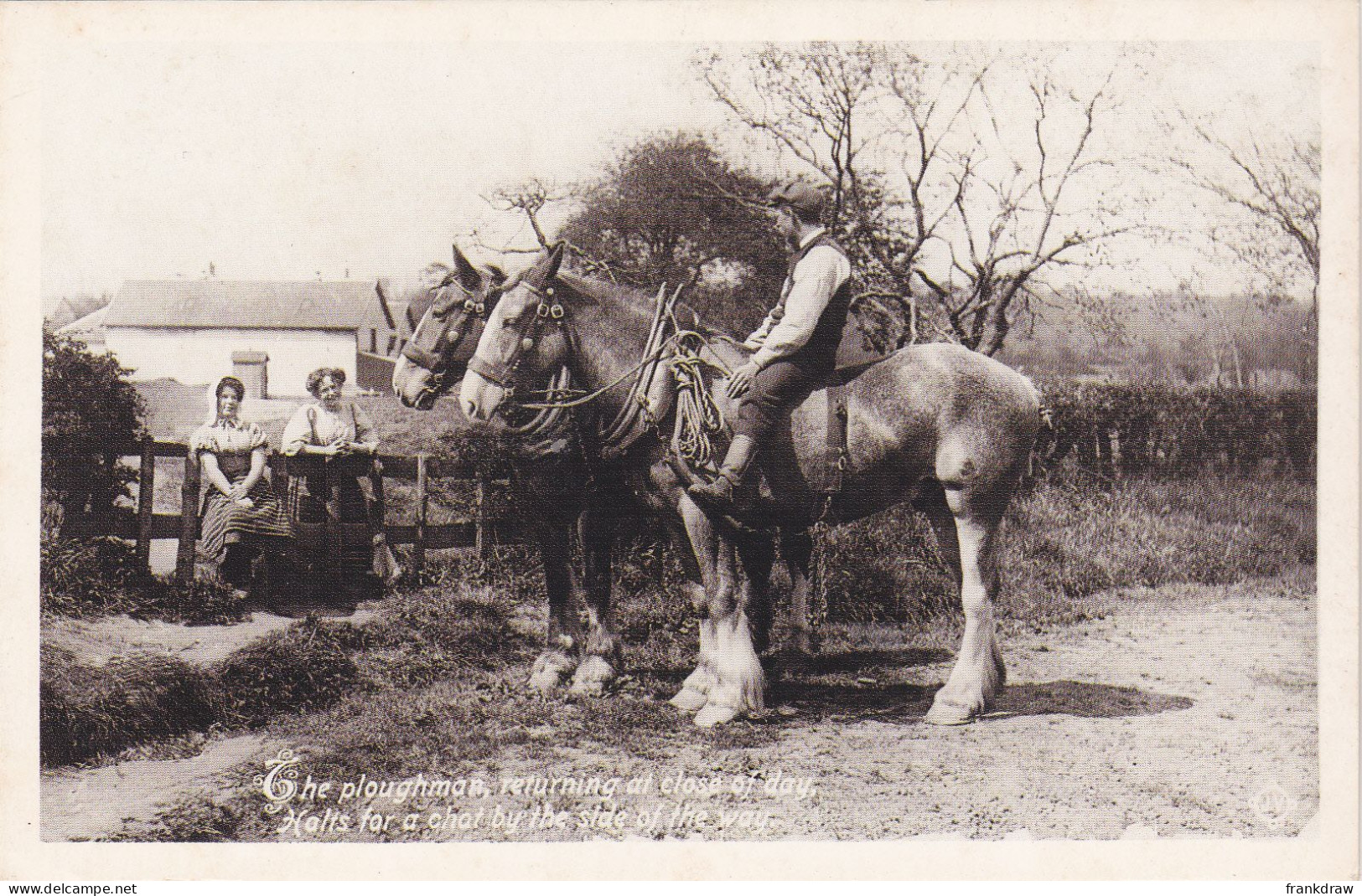 Nostalgia Postcard - Plough Team C1918  - VG - Non Classés