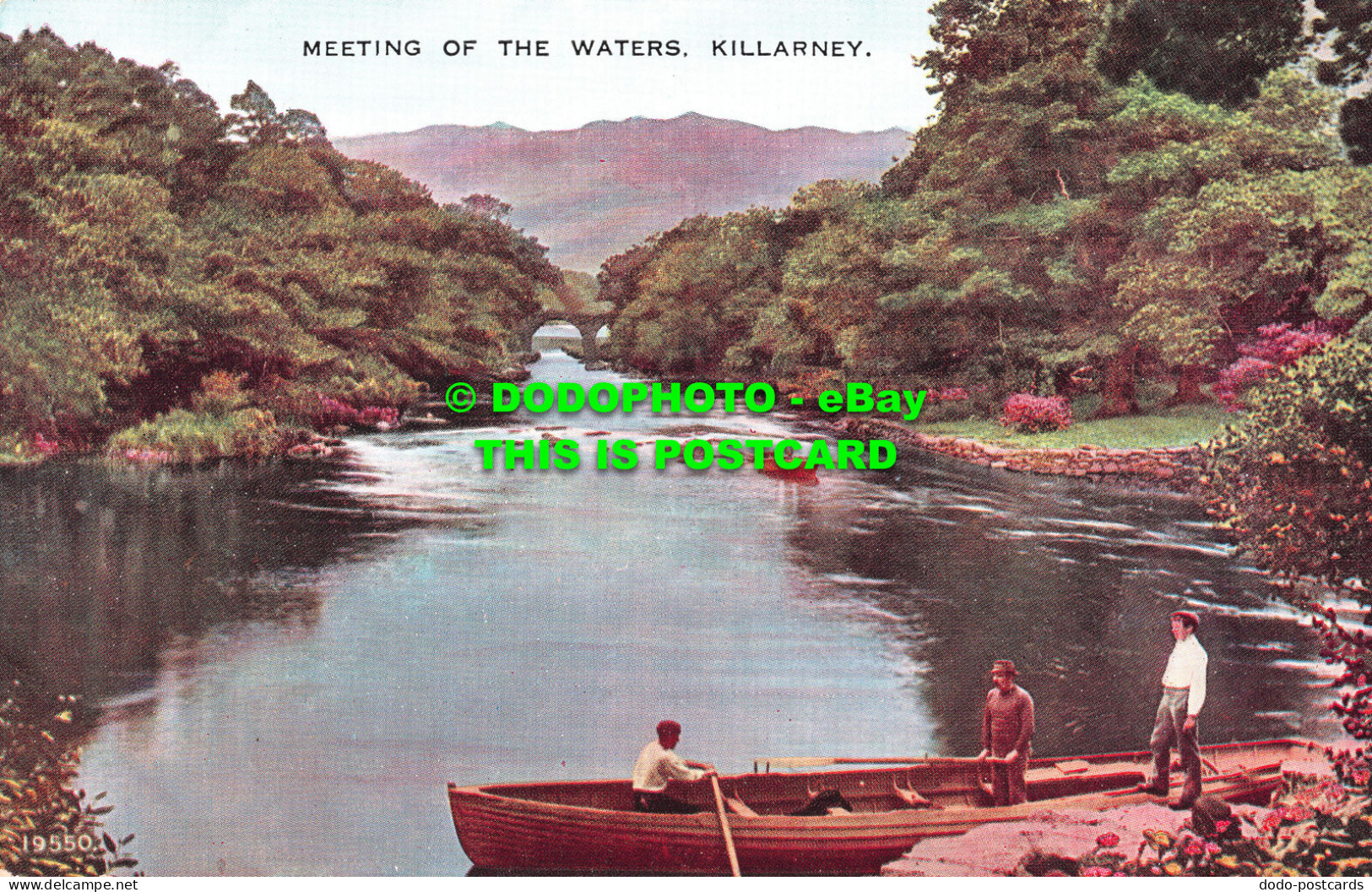 R506701 Meeting Of The Waters. Killarney. 19550. Valentines Postcards - World