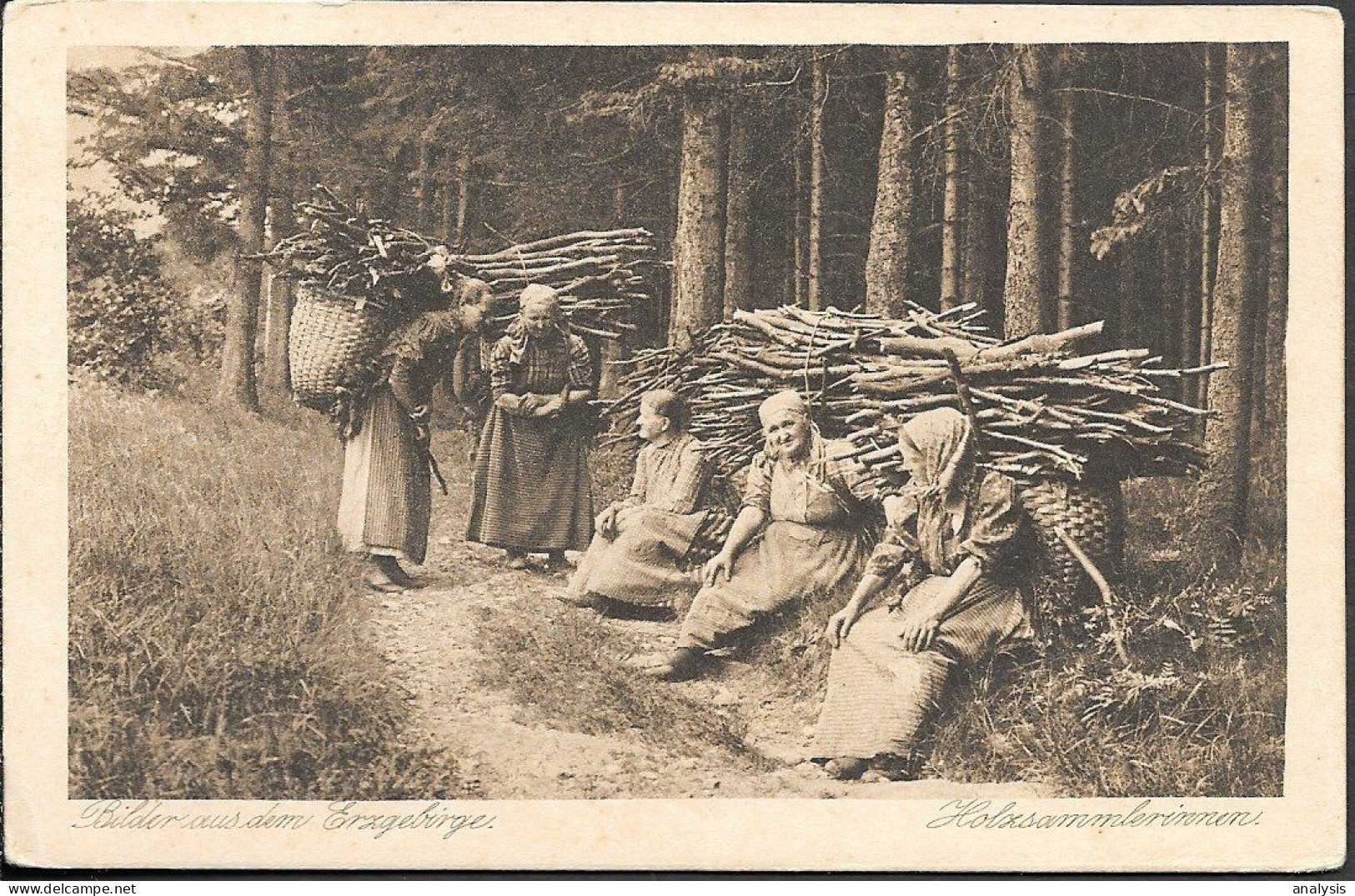 Germany Sachsen Erzgebirge Holzsammlerinnen Old PPC Pre 1940 - Oberholzhau (Erzgeb.)