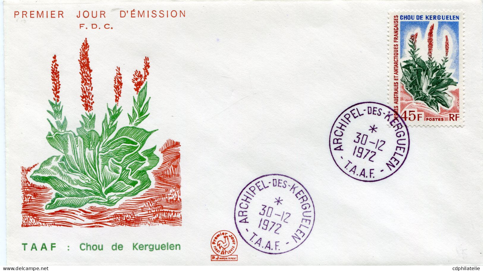 T. A. A. F. ENVELOPPE 1er JOUR DU N°48 LE CHOU DES KERGUELEN AVEC OBLITERATION ARCHIPEL-DES-KERGUELEN 30-12-1972 - FDC