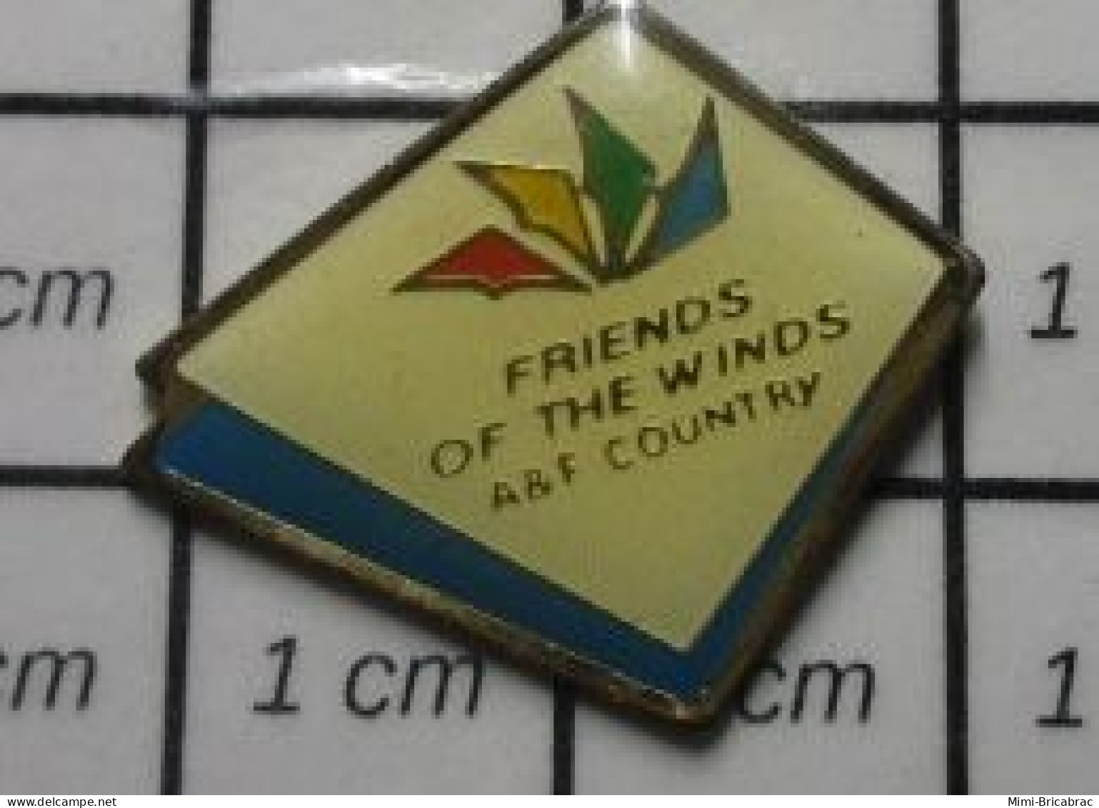 1618A Pin's Pins / Beau Et Rare / AUTRES / A&F COUNTRY FRIENDS OF THE WINDS CERF-VOLANT Ou Cerveau Lent ? - Autres & Non Classés