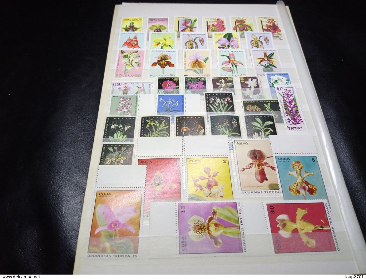 DM941 LOT FEUILLES MONDE TOUS NEUFS MNH A TRIER COTE++ DEPART 10€ - Collezioni (in Album)